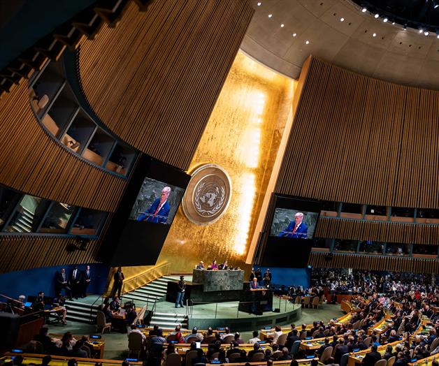 Se ha abusado del sistema de asilo: EU Se ha abusado del sistema de asilo: EU