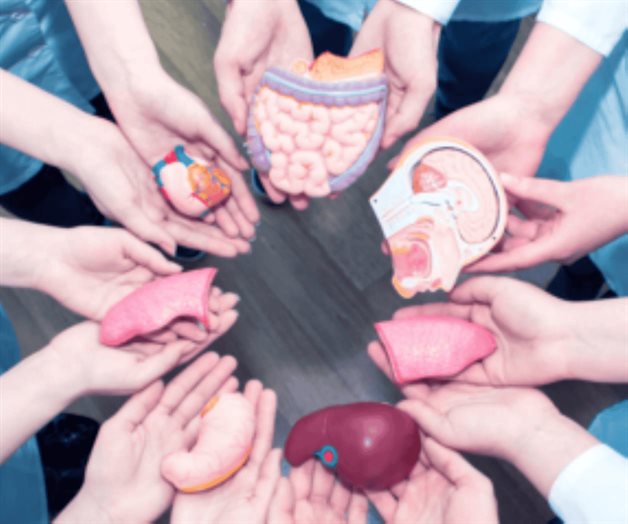 Esperan 20 mil pacientes un órgano en México Esperan 20 mil pacientes un órgano en México