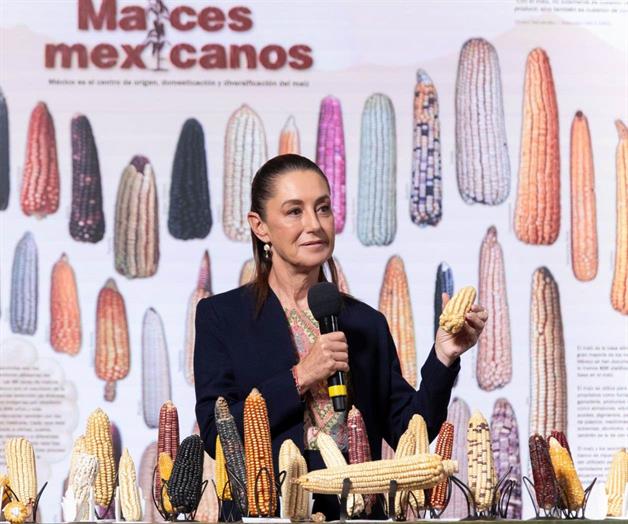 Crean el programa de Sin maíz no hay país Crean el programa de Sin maíz no hay país