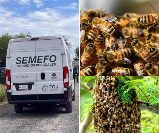 Un muerto por el ataque de abejas Un muerto por el ataque de abejas