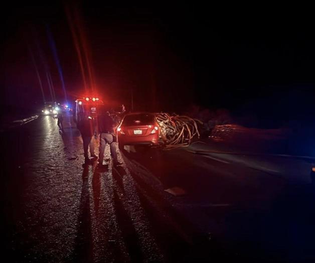 Accidente en Carretera Federal 101 deja una persona lesionada en Tula, Tamaulipas