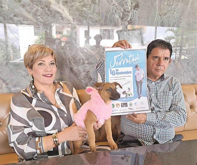 Perrotón, una carrera de solidaridad y fiesta Perrotón, una carrera de solidaridad y fiesta