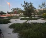 Particulares dan mantenimiento a los parques