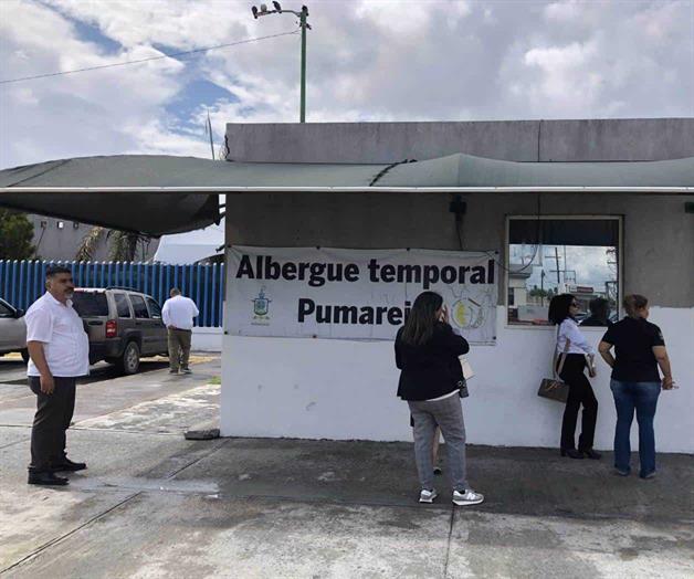 Buscan migrantes quedarse de legales Buscan migrantes quedarse de legales