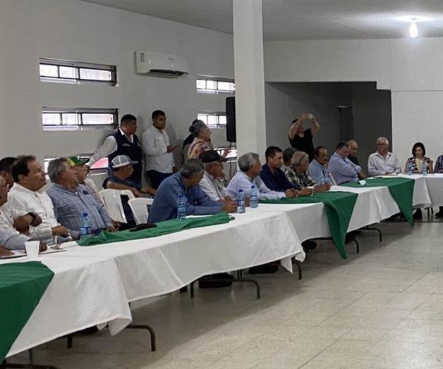 Mantienen capacitación en siembra de ajonjoli Mantienen capacitación en siembra de ajonjoli