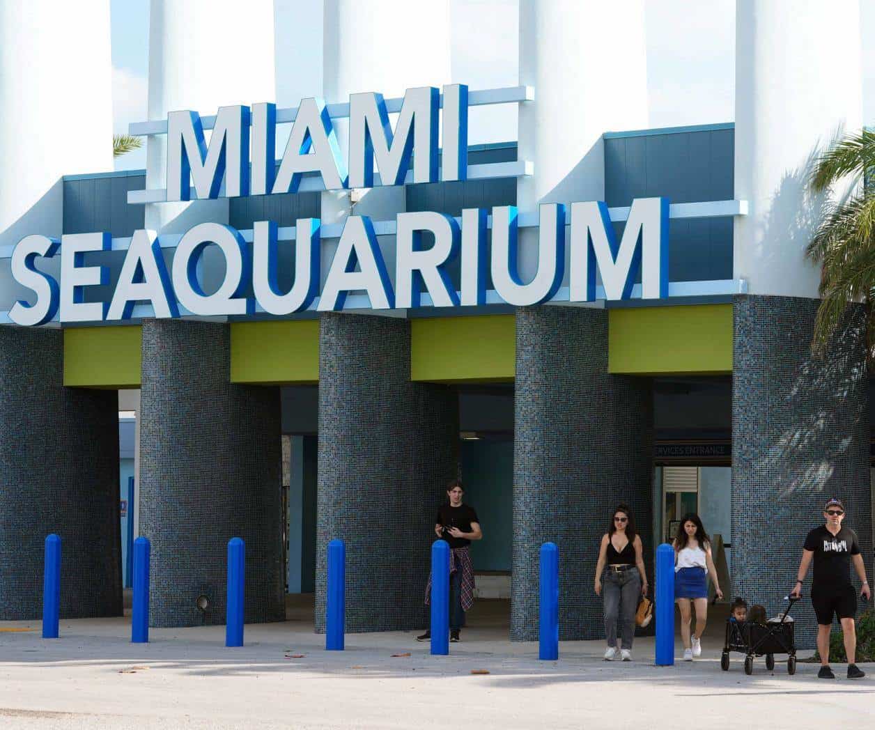 Cierra sus puertas Miami Seaquarium