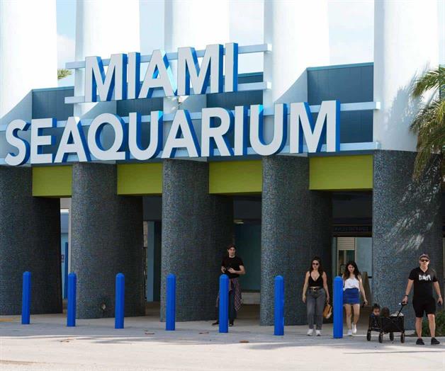 Cierra sus puertas Miami Seaquarium Cierra sus puertas Miami Seaquarium