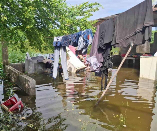 Río Pánuco bajo la lupa Río Pánuco bajo la lupa