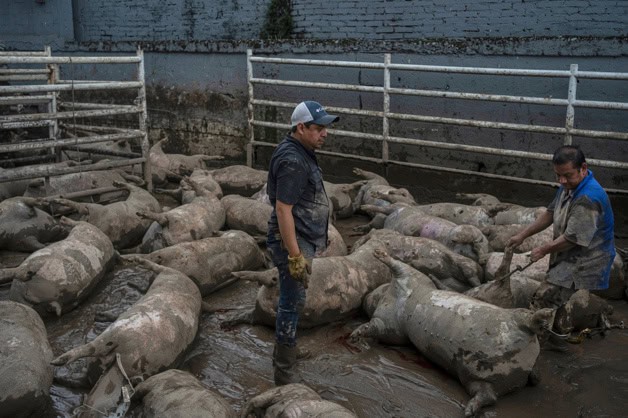 "Una semana después esto se ve horrible. Tras las lluvias, pueblos mexicanos siguen en el lodo "Una semana después esto se ve horrible. Tras las lluvias, pueblos mexicanos siguen en el lodo