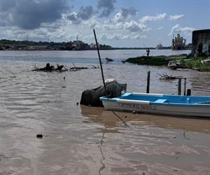 Emite Capitanía de Puerto alerta por presencia de palizada en el río Pánuco