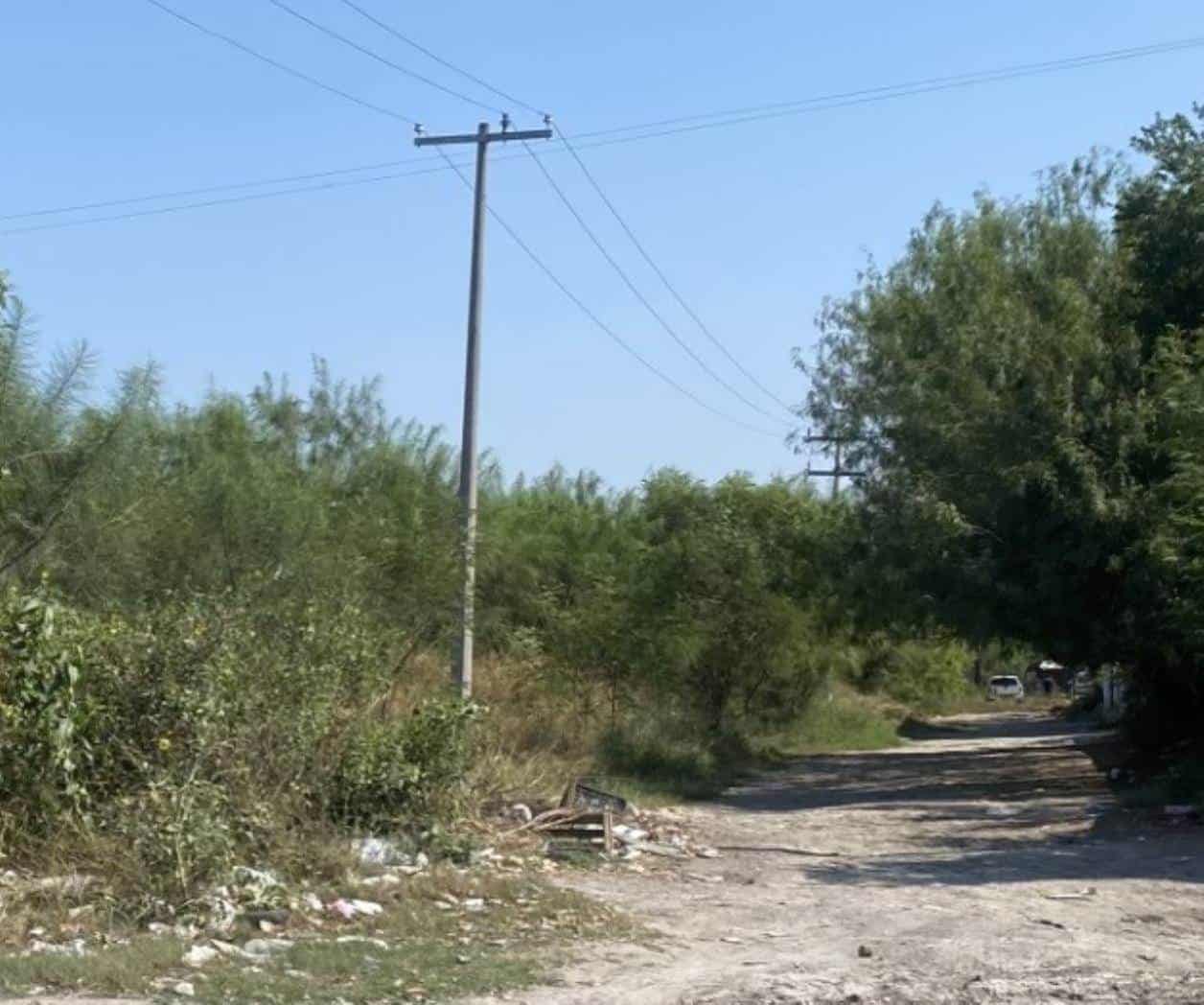 Brotan zancudos por inundaciones