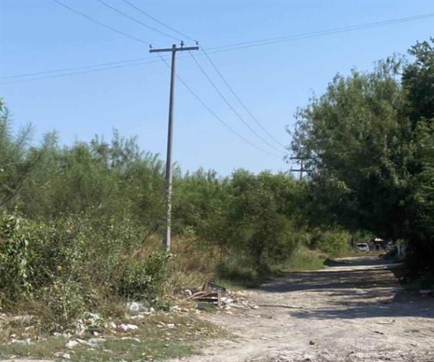 Brotan zancudos por inundaciones Brotan zancudos por inundaciones