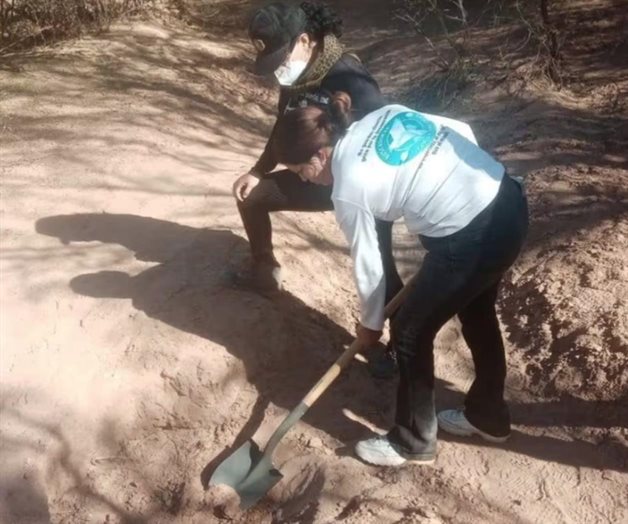 Confirman hallazgo de 60 cuerpos en la costa de Hermosillo Confirman hallazgo de 60 cuerpos en la costa de Hermosillo