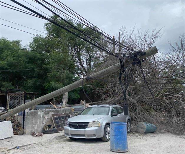Cae &aacute;rbol y derriba  2 postes de madera