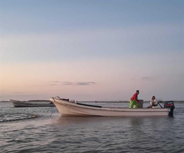 Inicia periodo de captura de lisa y liseta en Laguna Madre Inicia periodo de captura de lisa y liseta en Laguna Madre