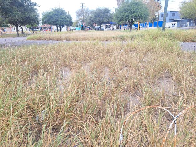 Urgen al municipio rescate las plazas en abandono total Urgen al municipio rescate las plazas en abandono total