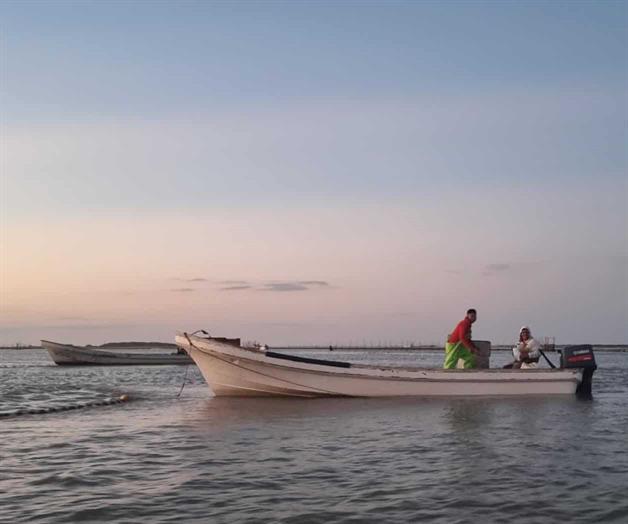 Conapesca vigila se  respete veda de Lisa