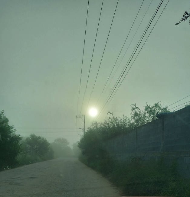 Sorprende densa neblina en carreteras de Río Bravo Sorprende densa neblina en carreteras de Río Bravo