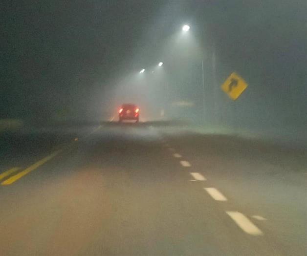 Sorprende densa neblina en carreteras de Río Bravo Sorprende densa neblina en carreteras de Río Bravo