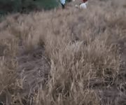 Hallan restos humanos en ejido El Porvenir