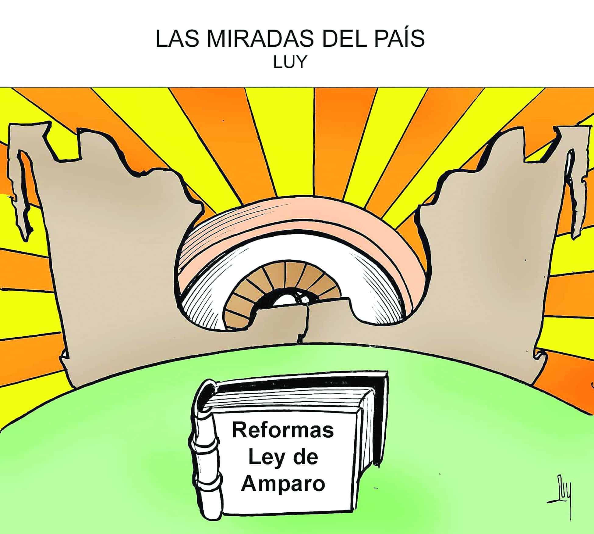 Las miradas del país