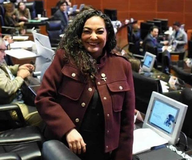 Senadora Olga Sosa lanza exhorto para proteger delfines en Matamoros