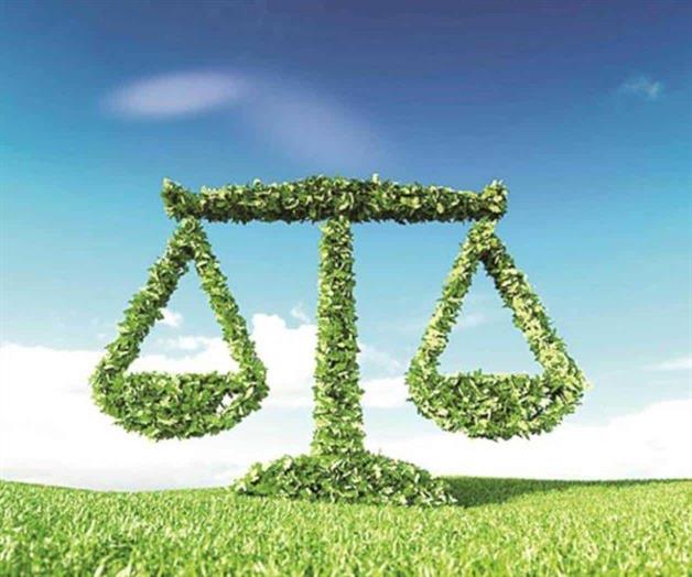 Profepa rescata a nueve reptiles y arácnidos en San Luis Potosí