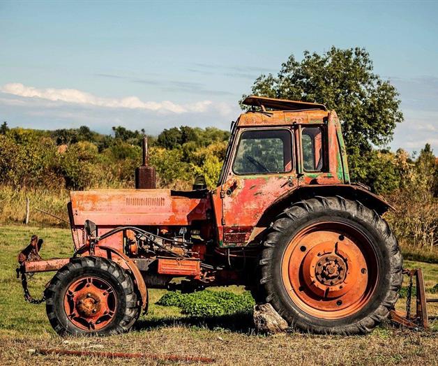 Caería 40% siembra de sorgo de temporal Caería 40% siembra de sorgo de temporal