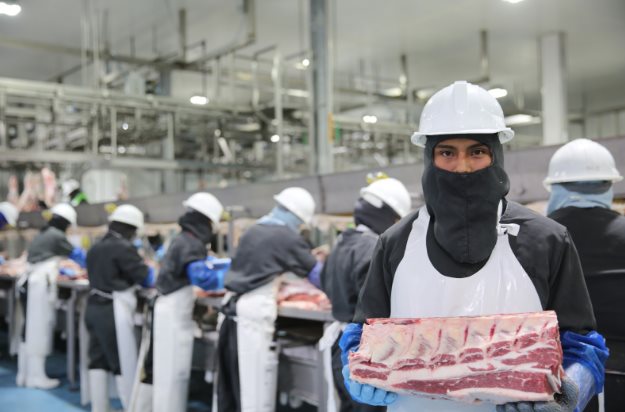 Contemplan exportar carne a pa&iacute;ses &aacute;rabes y asi&aacute;ticos