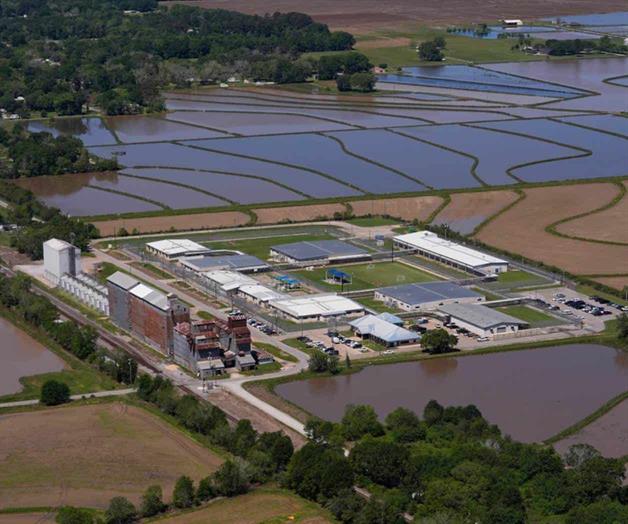 Mujeres embarazadas detenidas por ICE denuncian maltrato en EE.UU.