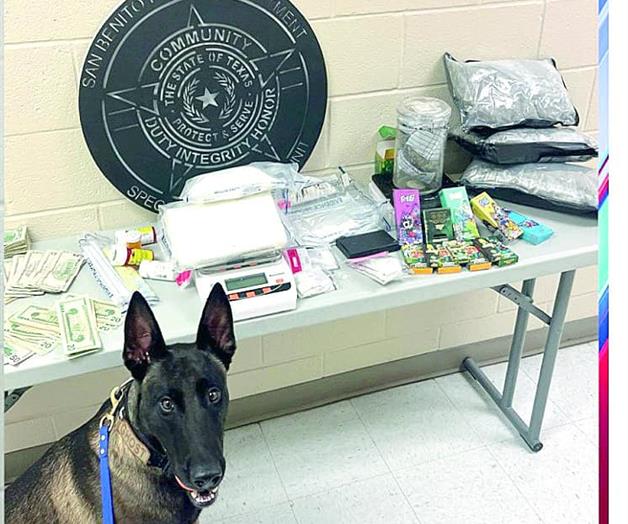 Presunta participación en una red de drogas Presunta participación en una red de drogas