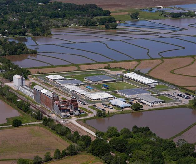 Piden liberar a embarazadas en custodia del ICE