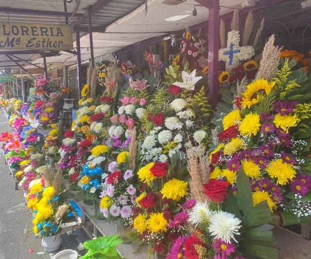 Florece cempasúchil para Día de Muertos Florece cempasúchil para Día de Muertos