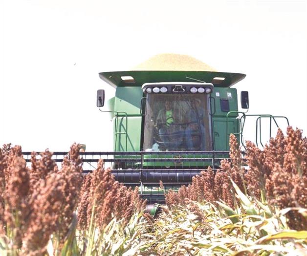 Enfrentan productores panorama incierto Enfrentan productores panorama incierto