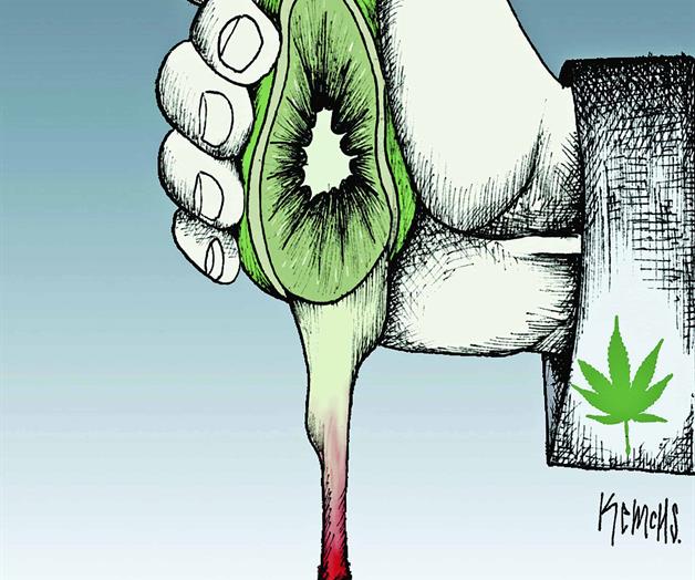 Dejan de operar CIBanco, Intercam y Vector Dejan de operar CIBanco, Intercam y Vector