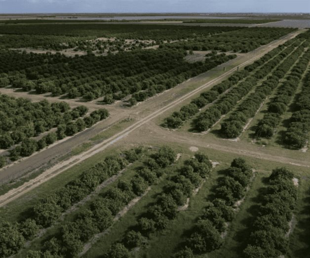 Agricultores de Texas en crisis por falta de agua Agricultores de Texas en crisis por falta de agua