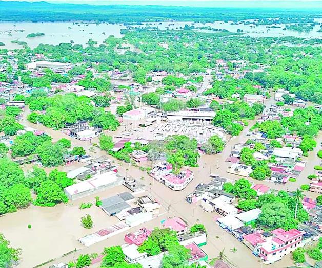 Peligra producción  nacional de cítricos