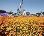 Mega Ofrenda del Zócalo luce tapete monumental de cempasúchil