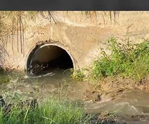 Alistan protesta contra Comapa