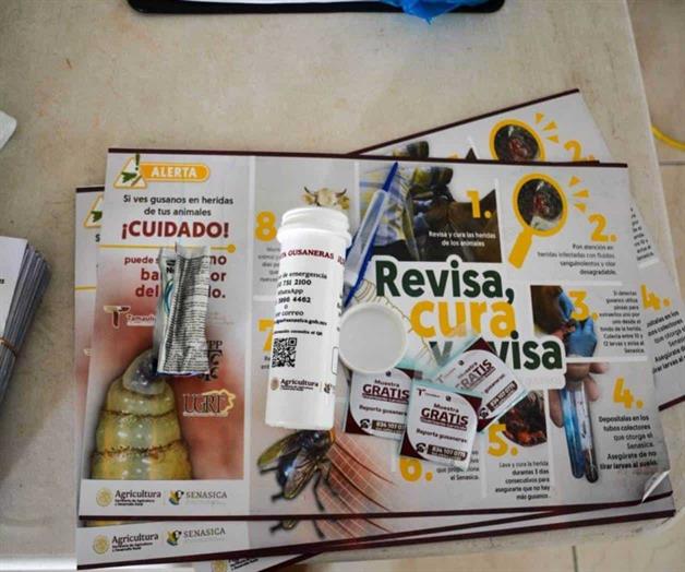 Tamaulipas intensifica acciones contra el gusano barrenador en límites con Veracruz y SLP Tamaulipas intensifica acciones contra el gusano barrenador en límites con Veracruz y SLP