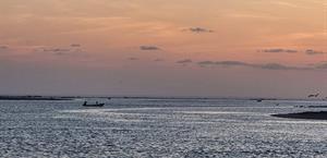 Pronostican rachas de hasta 90 km/h en San Fernando por frente frío 11 Pronostican rachas de hasta 90 km/h en San Fernando por frente frío 11