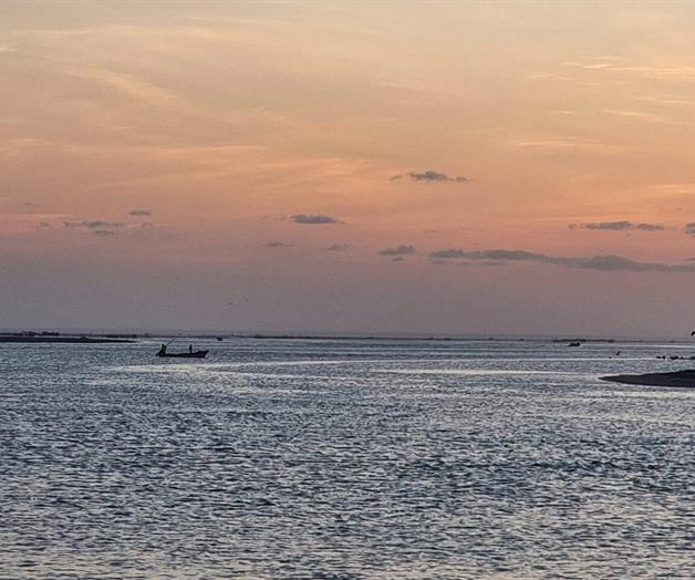 Pronostican rachas de hasta 90 km/h en San Fernando por frente frío 11 Pronostican rachas de hasta 90 km/h en San Fernando por frente frío 11