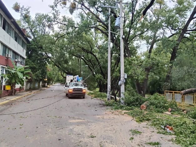 Frente frío 11 deja sin luz a más de 76 mil usuarios en Tamaulipas Frente frío 11 deja sin luz a más de 76 mil usuarios en Tamaulipas
