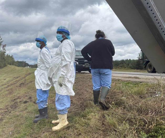 Tres monos siguen sueltos después de escapar de un camión volcado en una autopista de Mississippi Tres monos siguen sueltos después de escapar de un camión volcado en una autopista de Mississippi