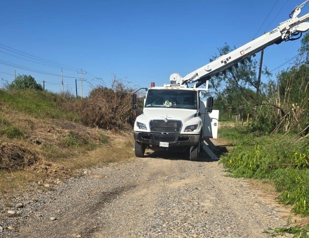 Fuertes vientos en San Fernando derribaron ramas de árboles y cables de la CFE Fuertes vientos en San Fernando derribaron ramas de árboles y cables de la CFE