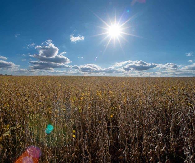 Senado aprueba resolución para revertir aranceles de Trump en todo el mundo; no entraría en vigor Senado aprueba resolución para revertir aranceles de Trump en todo el mundo; no entraría en vigor