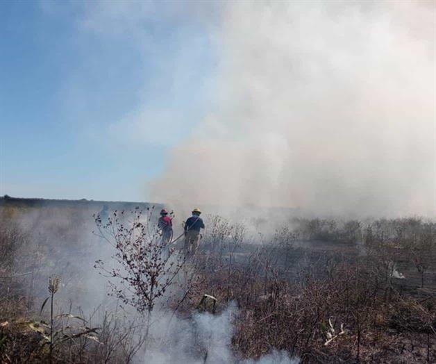 Se incendian pastizales en Cruillas, Tamaulipas Se incendian pastizales en Cruillas, Tamaulipas