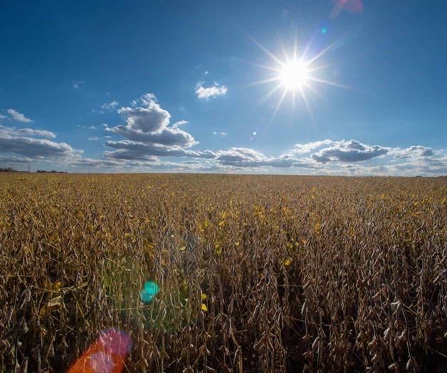 Senado aprueba resolución para  revertir aranceles en el mundo