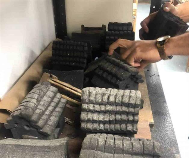 Construyen refugios para insectos polinizadores en Tamaulipas Construyen refugios para insectos polinizadores en Tamaulipas