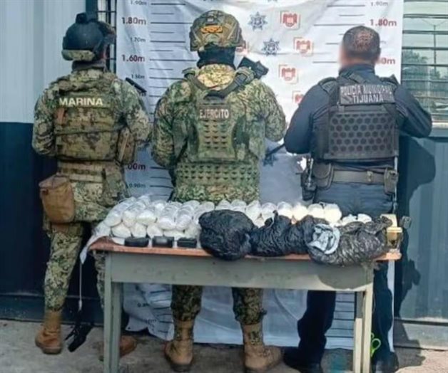 Aseguran 107 toneladas de droga en Operación Frontera Norte Aseguran 107 toneladas de droga en Operación Frontera Norte